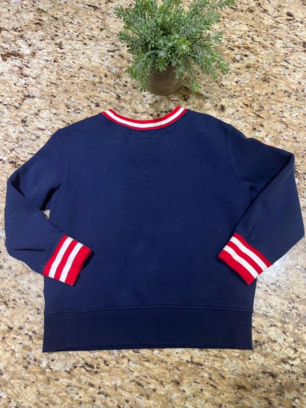 Ralph Lauren Navy Sweatshirt with Olympic USA Polo Bear and Red-Trim 3/3T